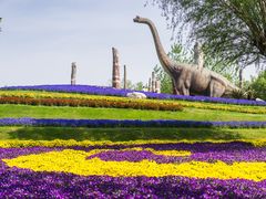 -南通洲际绿博园