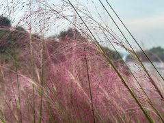 -华凌山庄·隐湖栖
