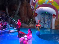 -烟台海昌鲸鲨海洋公园