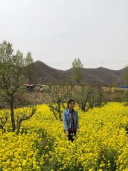 -窦王岭景区游乐场