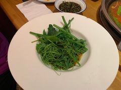 炝锅丝瓜尖-新凯里酸汤鱼(飞山街店)