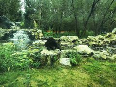 -北京野生动物园