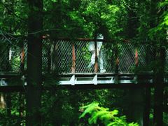 -黄海国家森林公园