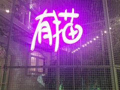 门面-有猫主题·治愈系猫咖(曾厝垵店)