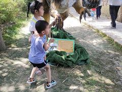 -盛世南宫影视城(北普陀影视城)