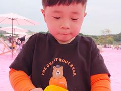 -大塘金香草谷