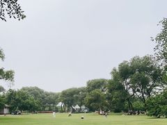-御林古桑园