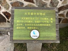 -烟墩角天鹅湖