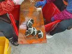 -阳澄湖大闸蟹·琼灵阁牌品牌连锁(吴中总店)