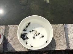 -宁波浙东大竹海景区