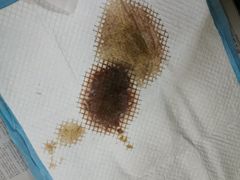 -喜多萌中农锦绣动物医院24H·猫科·牙科MRI·CT