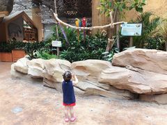 -杭州开元森泊度假乐园