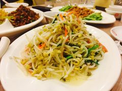 炒豆芽-大地春饼店(黄河路店)