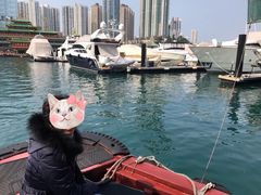-崇光百货(铜锣湾店)
