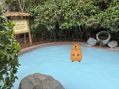 -麦积山温泉