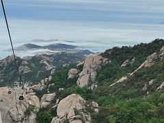 -云海肴云南菜·蒸汽石锅鱼(青岛万象城店)