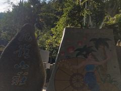 -西双版纳原始森林公园