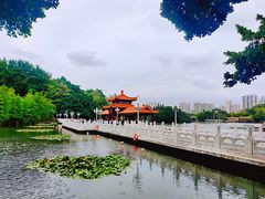 -荔枝公园(福田区)