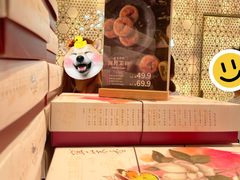 -好一朵茉莉花(老门东店)