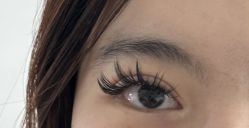 -七岛美学