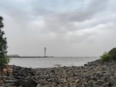 -上海吴淞炮台湾国家湿地公园