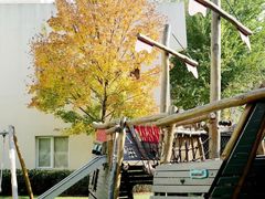 -柠檬国际幼儿园 Bright Academy