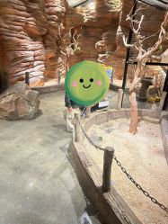 -造物庄园 萌宠纪(苏州湾歌林公园店)