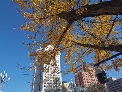 -云南古玩城(护国路店)