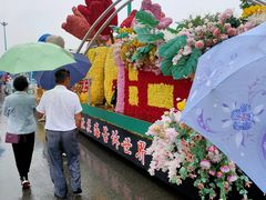 -荷兰花海