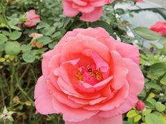 -北京植物园南门售票处
