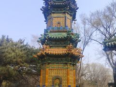 -沈阳植物园