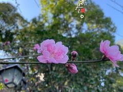 -乌山风景区