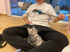 -猫咪派对(江南西店)