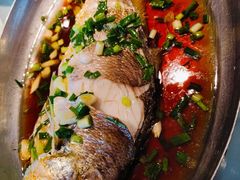 -佬肥猫(国华广场店)