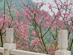 -广州市白云山风景名胜区