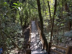 -霸王岭国家森林公园