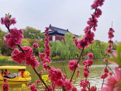 -南汇桃花村
