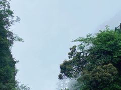 -峨眉山风景名胜区