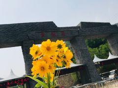 -黄花溪
