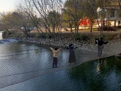 -温州永嘉书院