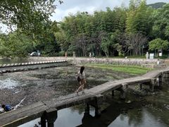 -兰亭风景区