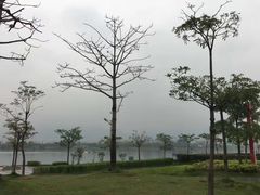 -飞来湖湿地公园