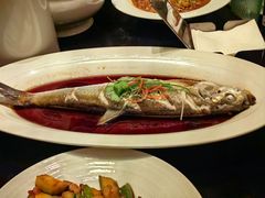-上海崇明金茂凯悦酒店