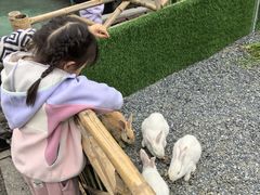 -同里湖度假村(二期店)