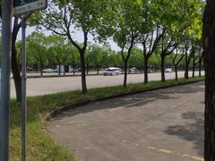 -安飞驰驾校·学车连锁(金高店)