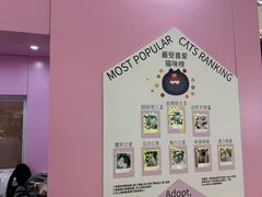 -PO PARK东方宝泰