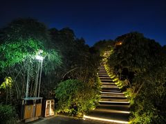 -聚龙山公园