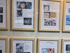 -半岛宠物医院24小时·内窥镜·牙科·碎石中心(府城大道店)