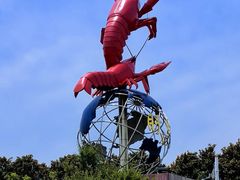 -红胖胖龙虾王·本地菜