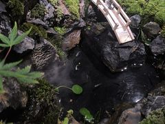 -瑞虹新天地月亮湾